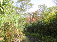 ニセコ長沼 (3)